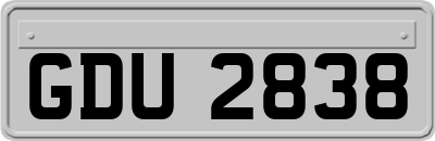 GDU2838
