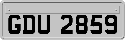GDU2859