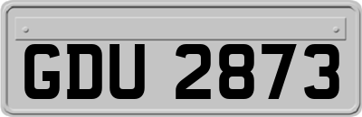 GDU2873