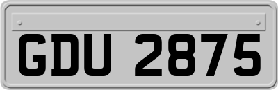 GDU2875
