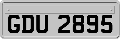 GDU2895