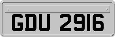 GDU2916