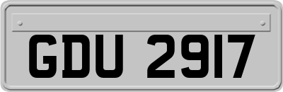GDU2917