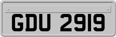 GDU2919