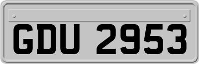 GDU2953