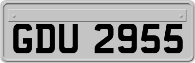 GDU2955