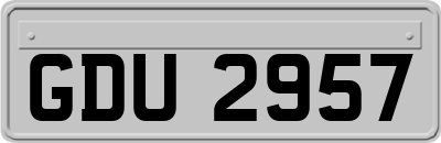 GDU2957