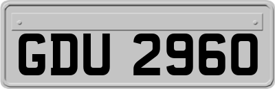 GDU2960