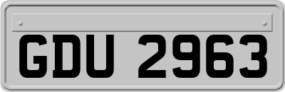 GDU2963