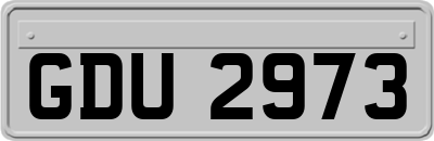 GDU2973