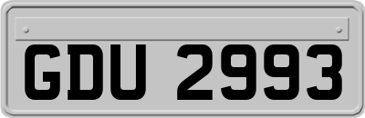 GDU2993