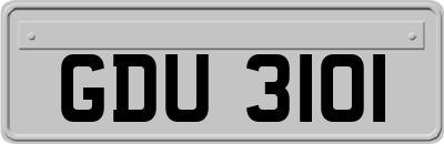 GDU3101