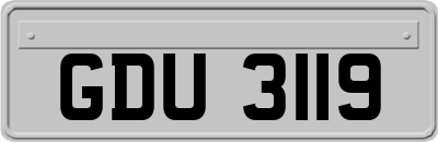 GDU3119