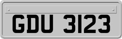 GDU3123