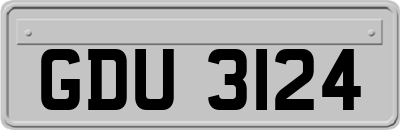 GDU3124
