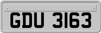 GDU3163