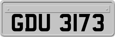 GDU3173