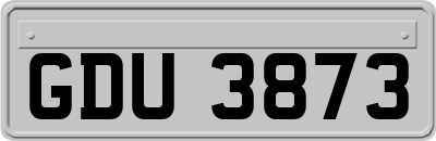 GDU3873