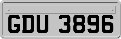 GDU3896