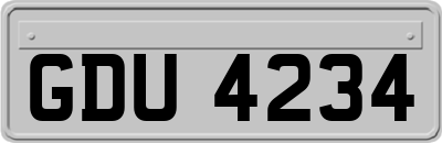 GDU4234