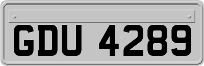 GDU4289