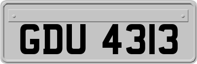 GDU4313