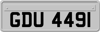GDU4491