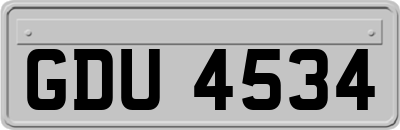 GDU4534