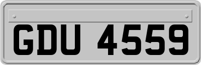 GDU4559