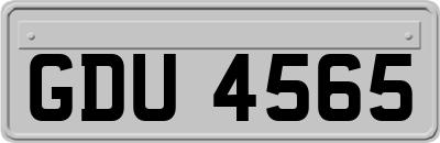 GDU4565