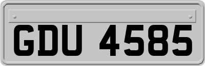 GDU4585