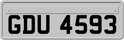 GDU4593