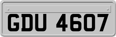 GDU4607