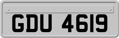 GDU4619
