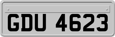 GDU4623