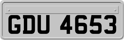 GDU4653