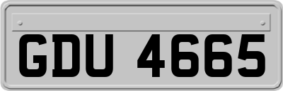 GDU4665