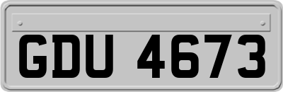 GDU4673