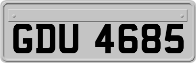 GDU4685