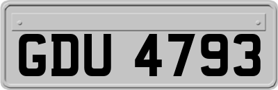 GDU4793