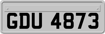 GDU4873