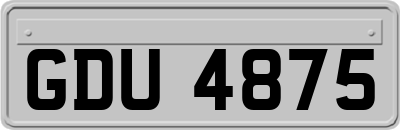GDU4875
