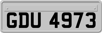 GDU4973