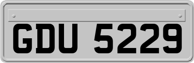 GDU5229