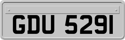 GDU5291