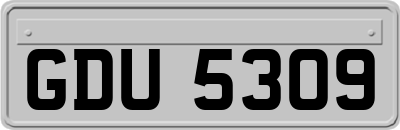GDU5309