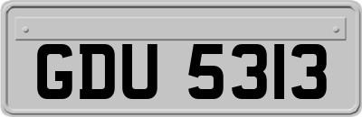 GDU5313