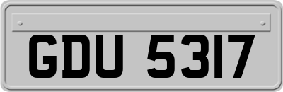 GDU5317