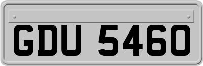 GDU5460