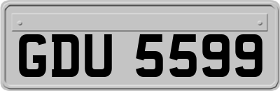 GDU5599